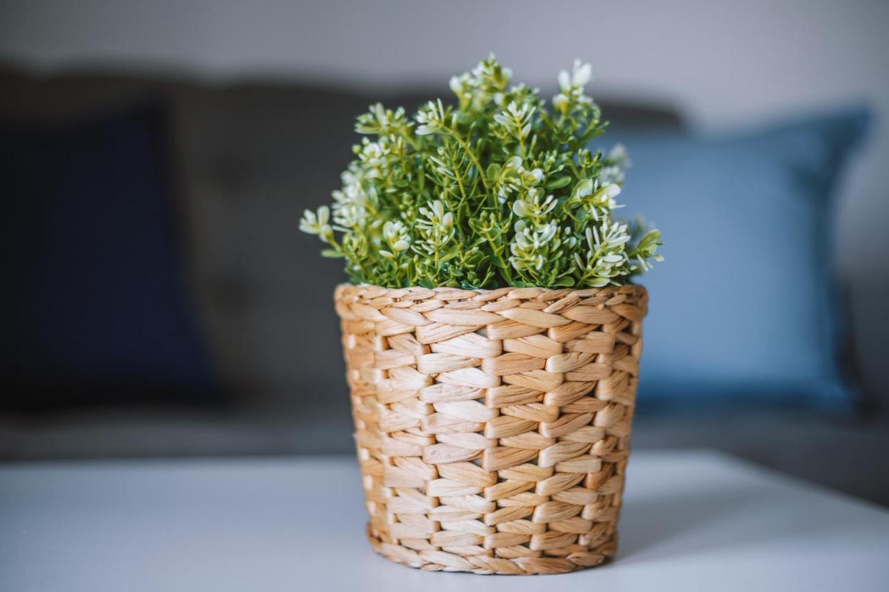 Apartamenty Biale Piaski 야스타르니아 외부 사진